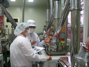 西北工业大学就业信息网，连接学生与职业发展的桥梁