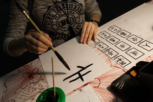 白龙乡疫情最新通报，全面防控，积极应对，守护家园安宁