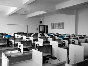 中国石油大学分数线解析，洞悉录取门槛与趋势