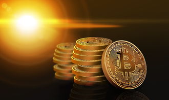 武汉职业技术学院学费详解，收费标准、支付方式及费用构成