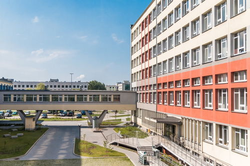 西安科技大学官网，探索科技与教育的交汇点