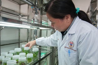 上海中医药大学研究生院，培育中医药人才的摇篮