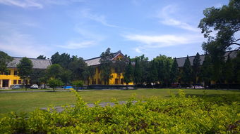 广西国家不认可的大专学校深度解析