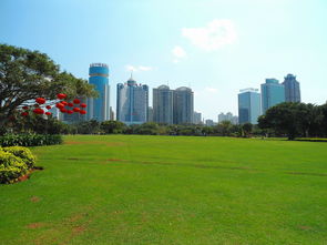 中国大专院校概览，知名学府及其特色