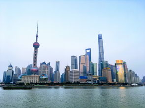 黑龙江龙招港录取查询，一站式服务助力学子圆梦