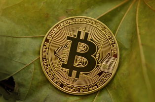 一分钟普及；微信炸金花房卡链接多少钱一张