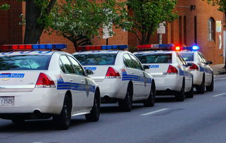 陕西警官职业学院的全面解析