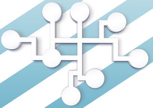山东管理学院教务系统，管理与服务的数字化革新