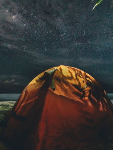 火星探测疫情最新通报，探索火星的最新进展与挑战
