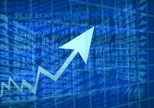 龙溪最新疫情发布信息详解，防控形势、应对策略与公众责任