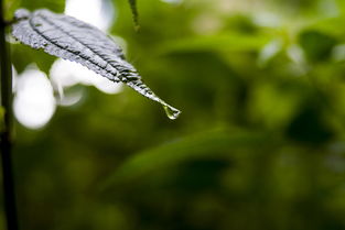 天水最新疫情确诊人员的动态与防控措施